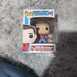 Spiderman (Homemade Suit)