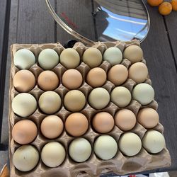 Organic  Eggs