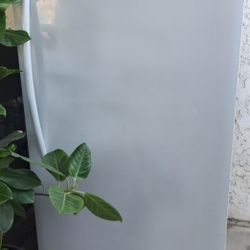 Fridgidaire Upright Freezer