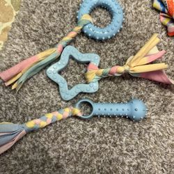 Pet Chew Toys 
