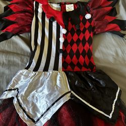 Female Jester Costume 
