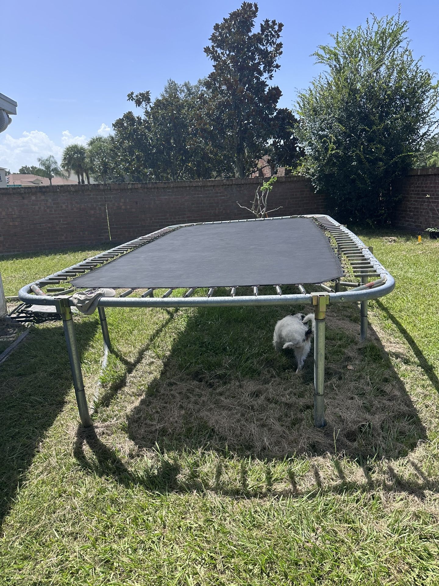 Trampoline 