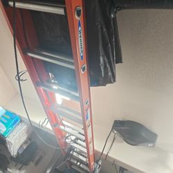 Werner 20ft Ladder
