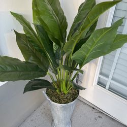 Set Of Plants In Galvanized Pot