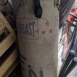 Everlast Heavy Bag