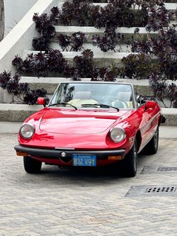 1978 Alfa Romeo Spider