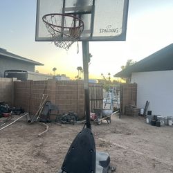 Basketball 