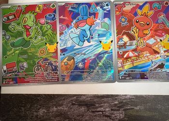 Pokémon TCG Holofoil Cards Treecko Mudkip Torchic Trade