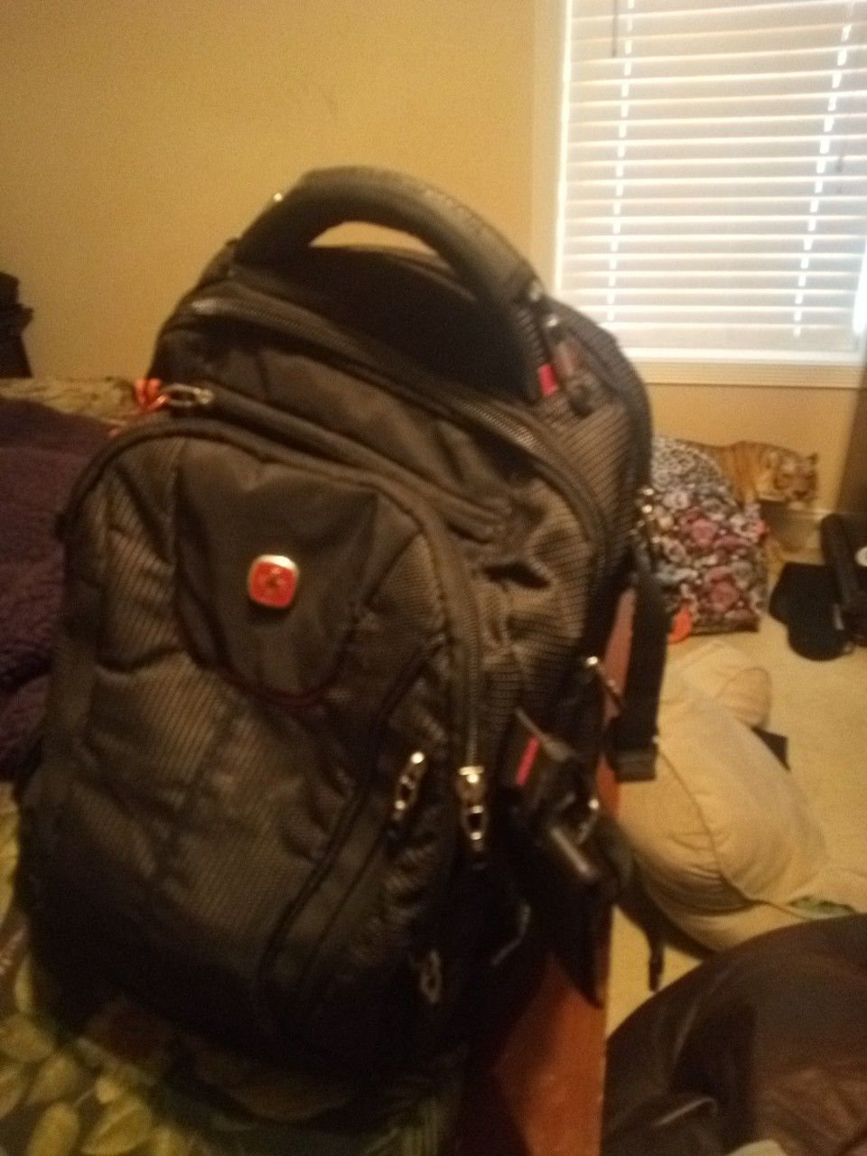 Swiss Gear Backpack