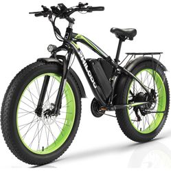 Electric Bike