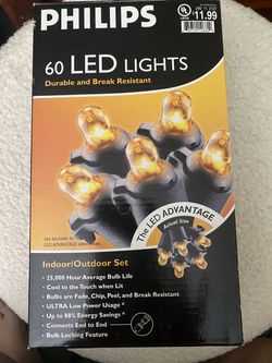 Philips 60 LED String orange Halloween Lights Indoor/Outdoor