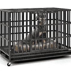 institution identify Sturdy Pet Cages Safety and Comfort for Your Cherished Companion