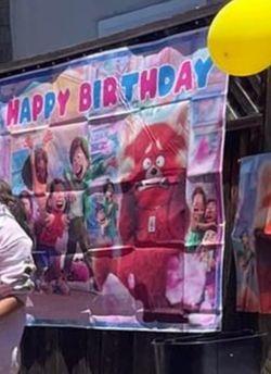 Red Panda Back Drop