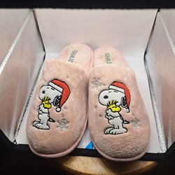 Snoopy And Woodstock Slippers