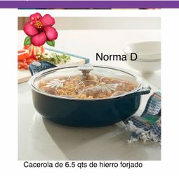 Cacerola de 6.5 qts de hierro forjado nueva en su caja 🌺 princess house 🌺