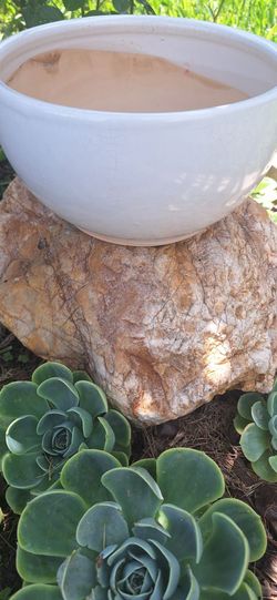 Bowl Shaped Vase