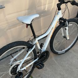 Schwinn Lotus 26in