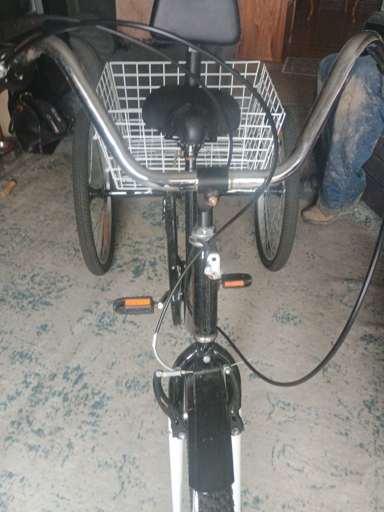 Custom Beach Cruiser Trike