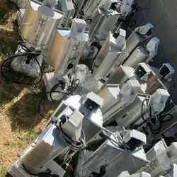 Heat Lamps Plants