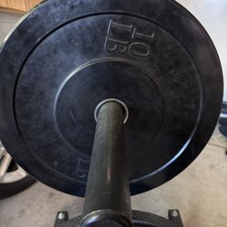 10lb Bumper Plates 