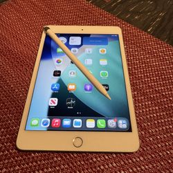 Mini iPad 5