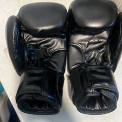 Brand New Boxing gloves 