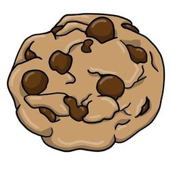 Organic Choclate Chip Cookies