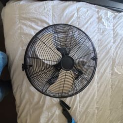Fan