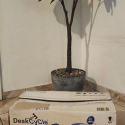 DeskCycle. 