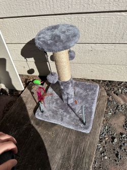 Free cat toy