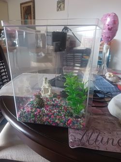 Fish Tank