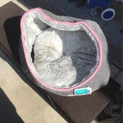 Cat Bed