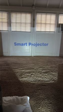 Projector