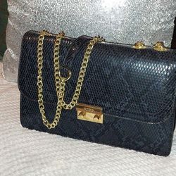 BCBG BAG