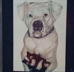 Drawing Commissions For Pets; Pet Portrait 