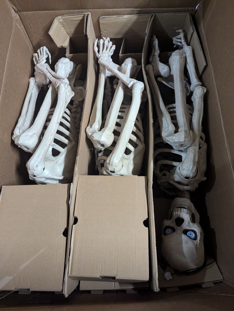 Ultra Poseable Skeletons 3 Pack