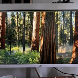 Asus ROG Strix XG27AQ-W 27” 1440P HDR Gaming Monitor with Ergonofis Monitor Arm