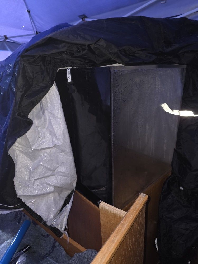 Multiple Fish Tanks Need To Go!