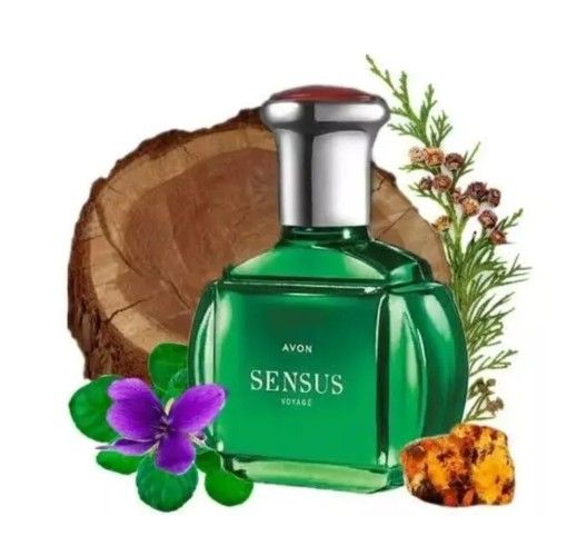 Sensus Voyage Edt For Men's 3.4.fl.oz/100ml