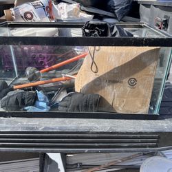 50 Gal Semi New Fish Tank 