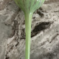 Plant Watering Glass 