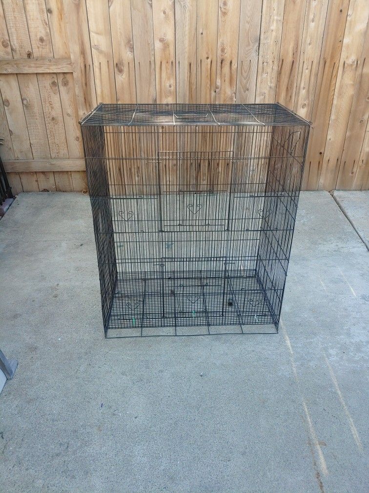 Bird Cage
