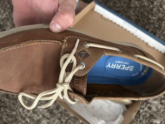 Men’s Sperry’s