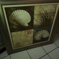 Seashell Decor Painting 