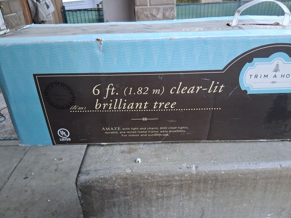 Christmas tree for outdoors