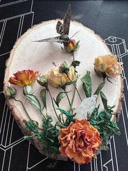 Dried Flowers + Hawk Moth