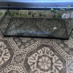 50 Gallon Tank 