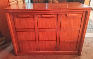 Thomasville Buffet/Server