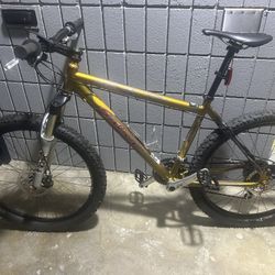 Salsa Mountain Bike