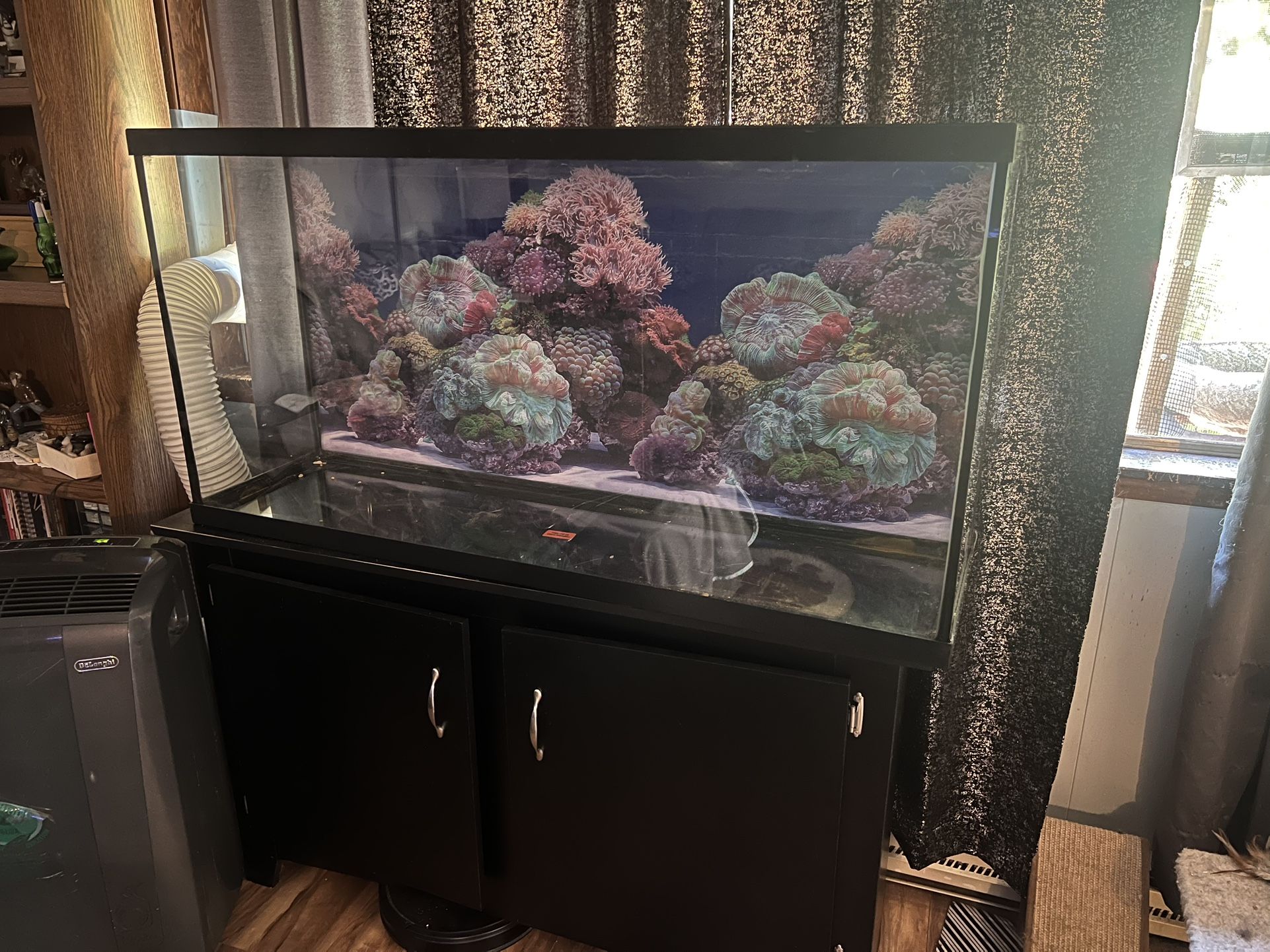 Fish Tank With Stand